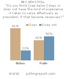 Do Biden and Palin have what it takes?