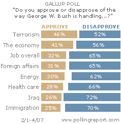 Rating President Bush